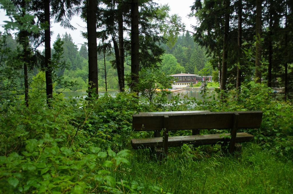 Hotel Waldrausch Goslar Buitenkant foto
