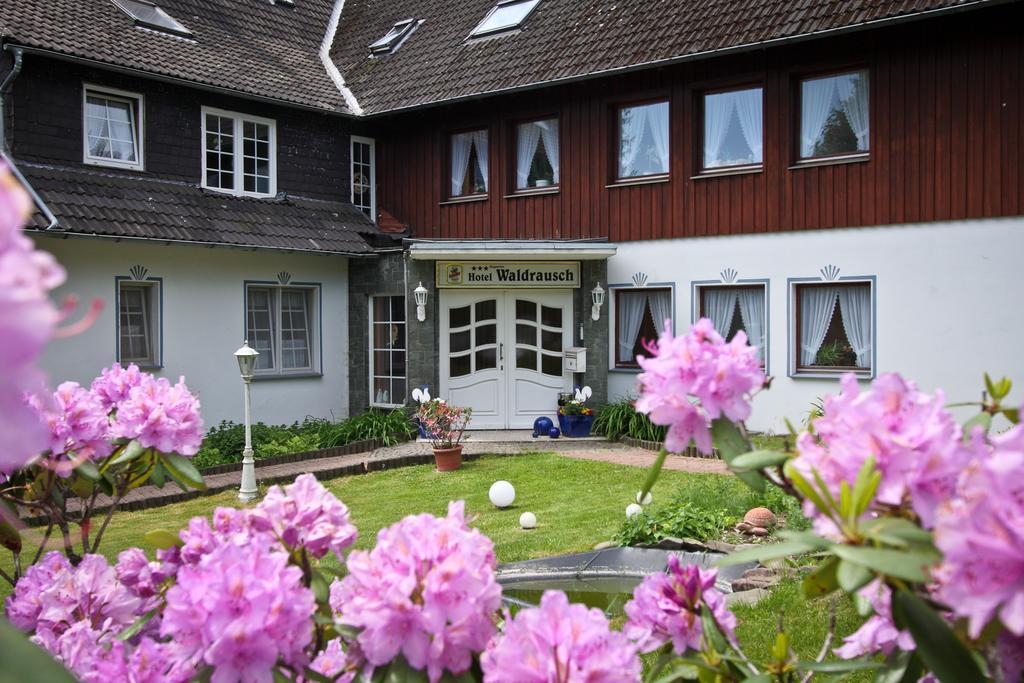 Hotel Waldrausch Goslar Buitenkant foto