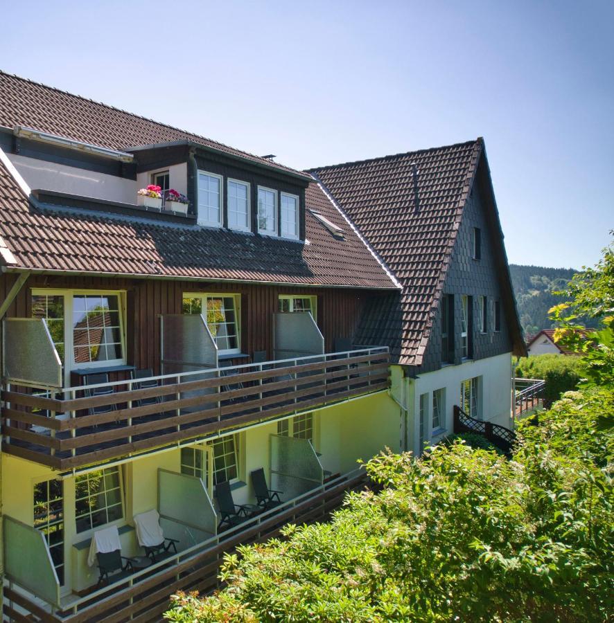 Hotel Waldrausch Goslar Buitenkant foto